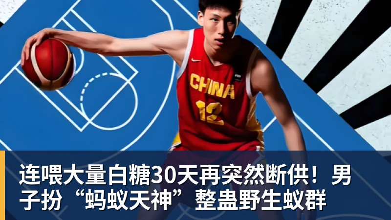 彩神v连喂大量白糖30天再突然断供！男子扮“蚂蚁天神”整蛊野生蚁群